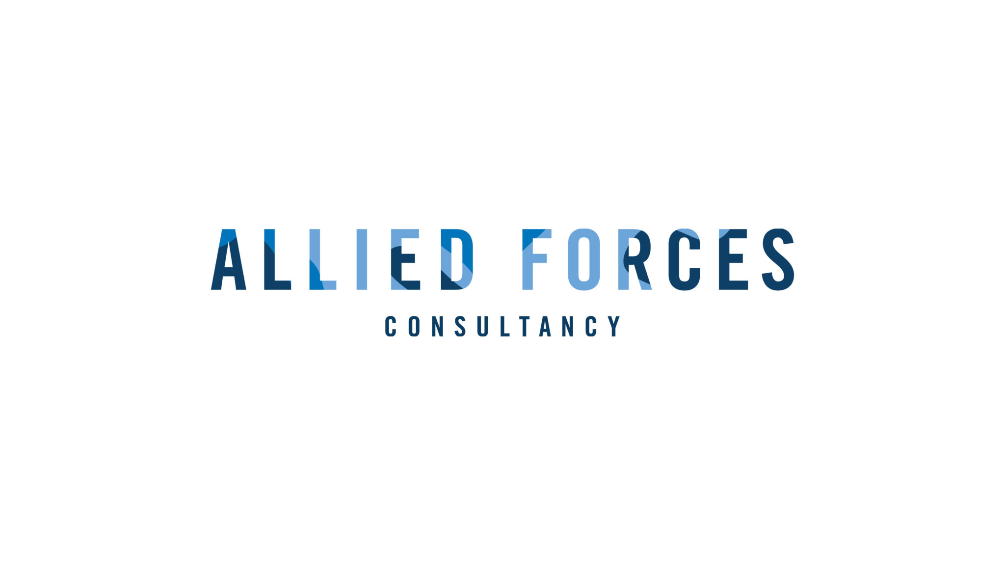 Schmuhl Website - Allied Forces