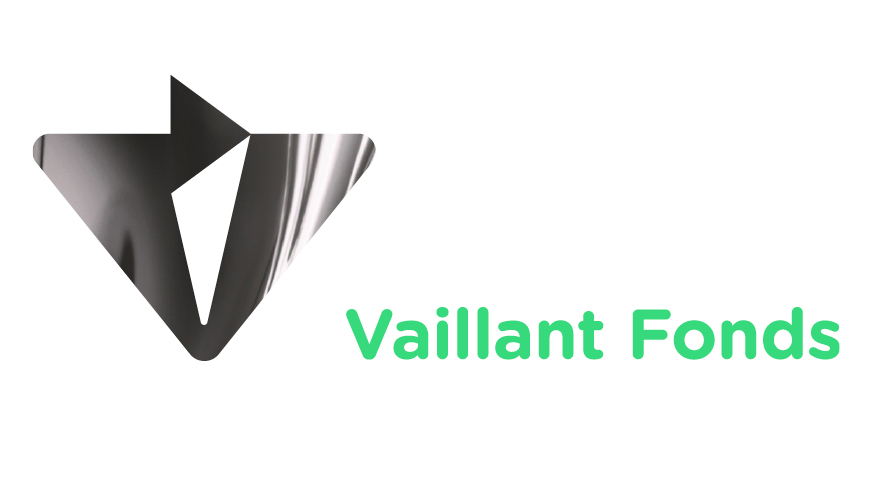 Vaiilant_logo image873